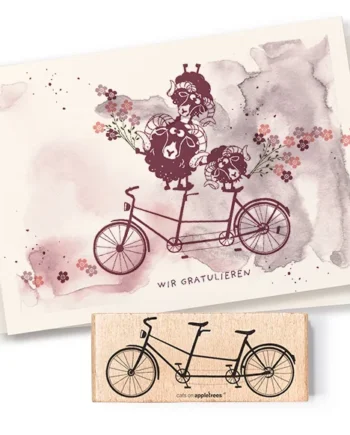 Cats on Appletrees  Fiets 4 Tandem