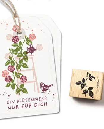 Cats on Appletrees Rozentak