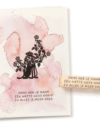 Cats on Appletrees Soms heb je maar één natte neus....