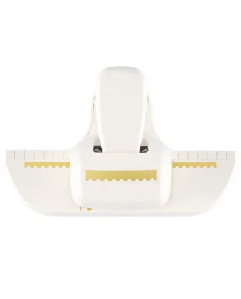 Pons Rand postzegel